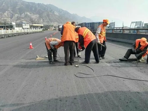 塔河道路桥梁病害治理